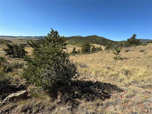 123 Campfire Rd, Hartsel, CO 80449 - photo 13
