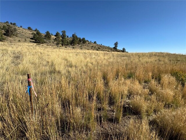 123 Campfire Rd, Hartsel, CO 80449 - photo 4