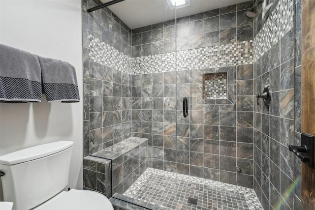 28 Tieze Ln, Keystone, CO 80435 - bathroom featuring toilet and a shower stall