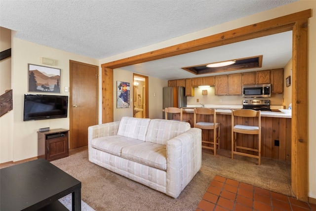 160 Creekside Dr Unit 3, Frisco, CO 80443 - living room with carpet floors and a textured ceiling