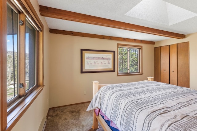 160 Creekside Dr Unit 3, Frisco, CO 80443 - bedroom featuring beamed ceiling, carpet floors, baseboards, a skylight, and a closet
