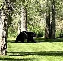 27095 Fire Song Rd, Steamboat Springs, CO 80487 - photo 20