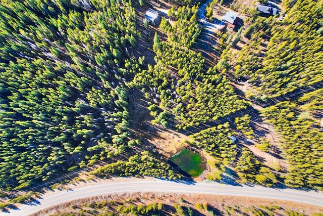 8231 State Highway 9, Breckenridge, CO 80424