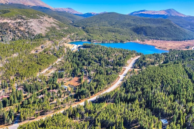 8231 State Highway 9, Breckenridge, CO 80424