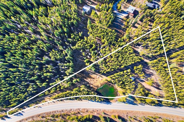 8231 State Highway 9, Breckenridge, CO 80424