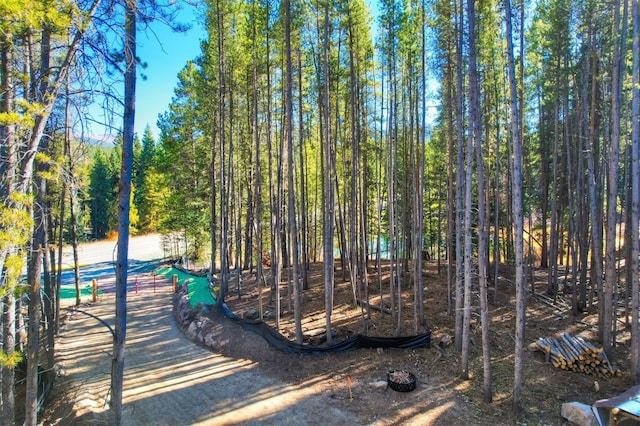 8231 State Highway 9, Breckenridge, CO 80424