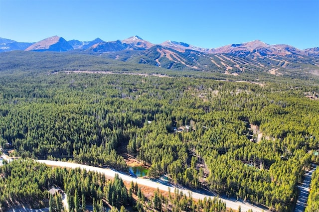 8231 State Highway 9, Breckenridge, CO 80424