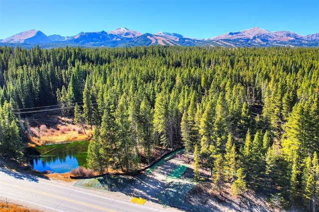 8231 State Highway 9, Breckenridge, CO 80424