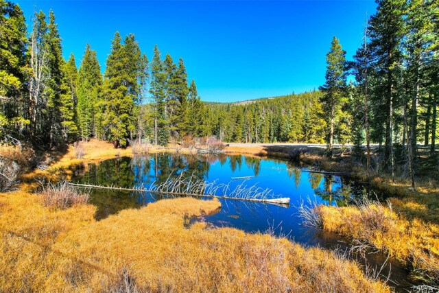8231 State Highway 9, Breckenridge, CO 80424