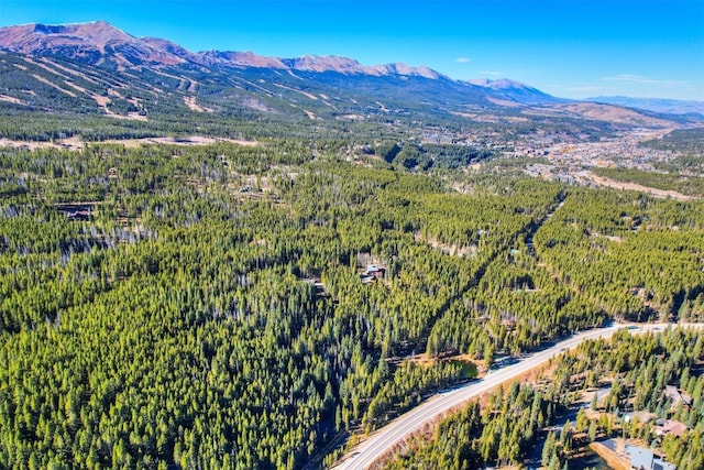 8231 State Highway 9, Breckenridge, CO 80424