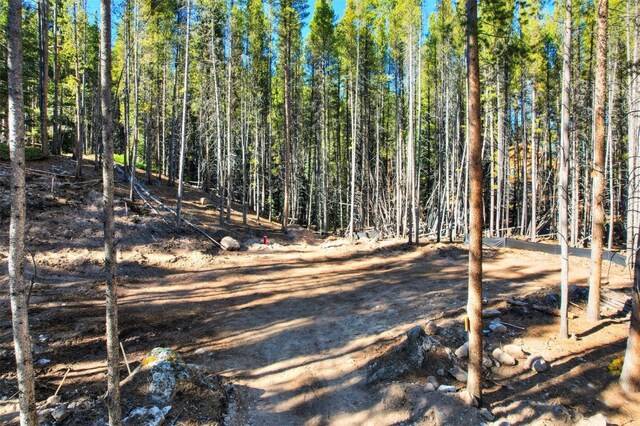 8231 State Highway 9, Breckenridge, CO 80424