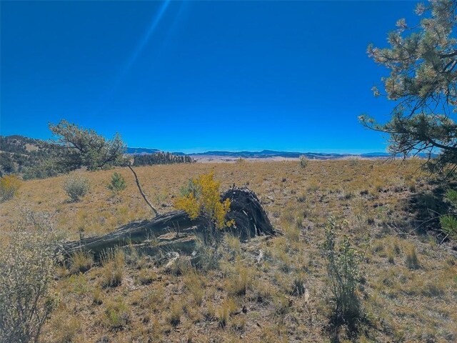 488 June Ln, Hartsel, CO 80449 - photo 9