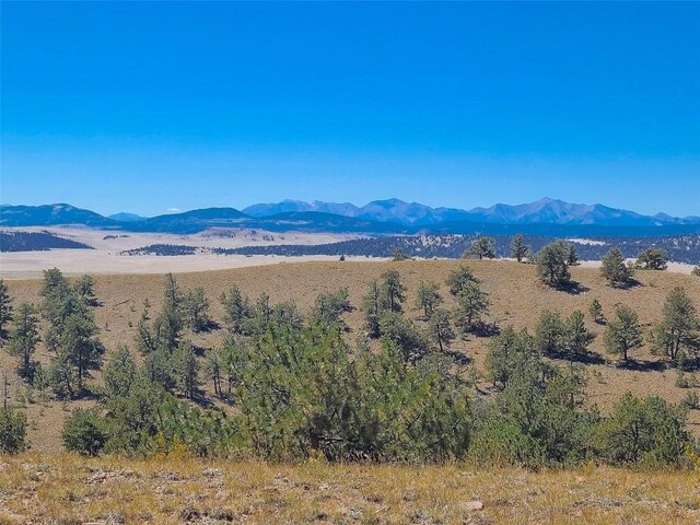 488 June Ln, Hartsel, CO 80449 - photo 8