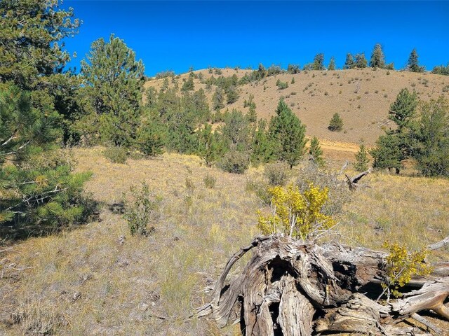 488 June Ln, Hartsel, CO 80449 - photo 7