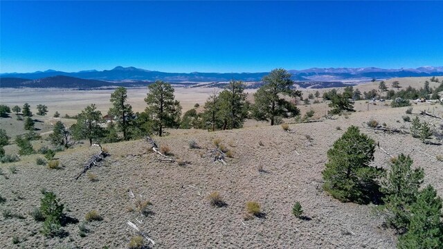 488 June Ln, Hartsel, CO 80449 - photo 12