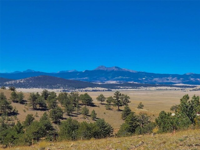 488 June Ln, Hartsel, CO 80449 - photo 6