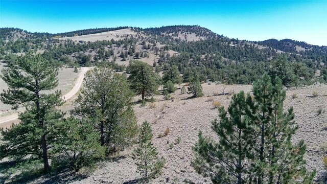 488 June Ln, Hartsel, CO 80449 - photo 11