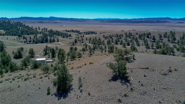 488 June Ln, Hartsel, CO 80449 - photo 14
