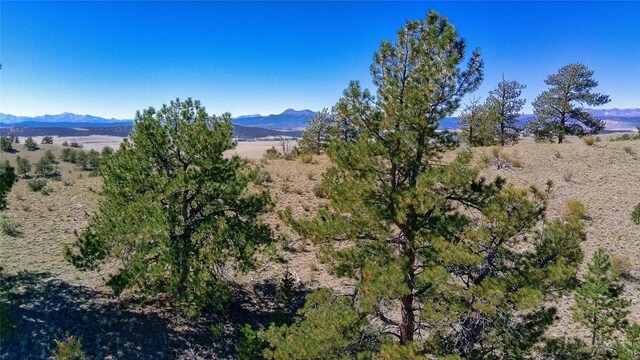 488 June Ln, Hartsel, CO 80449 - photo 10