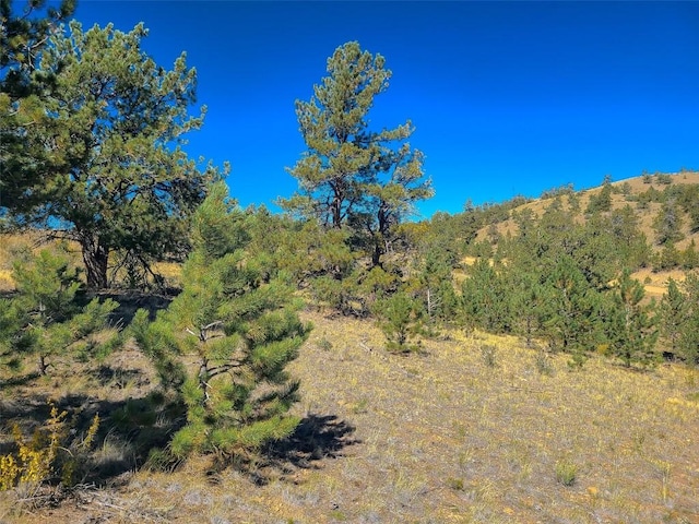 488 June Ln, Hartsel, CO 80449 - photo 3