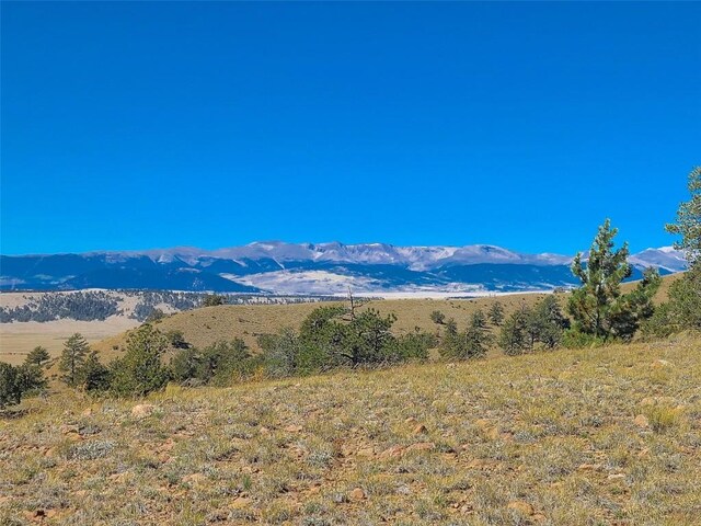 488 June Ln, Hartsel, CO 80449 - photo 2