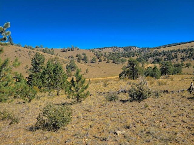 488 June Ln, Hartsel, CO 80449 - photo 4