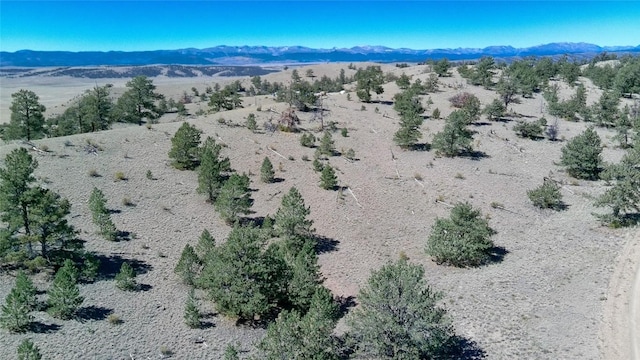 488 June Ln, Hartsel, CO 80449 - photo 13