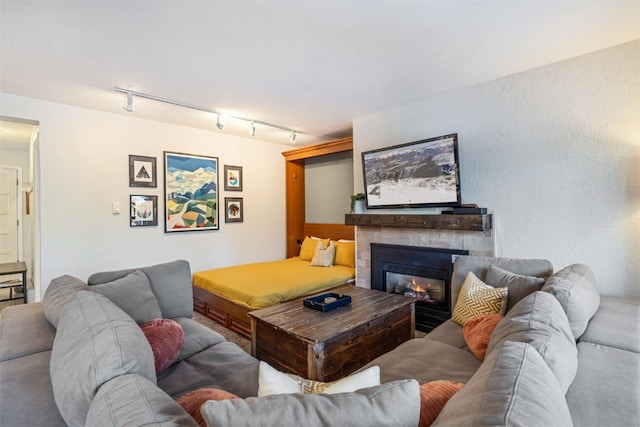 living area with a glass covered fireplace and rail lighting