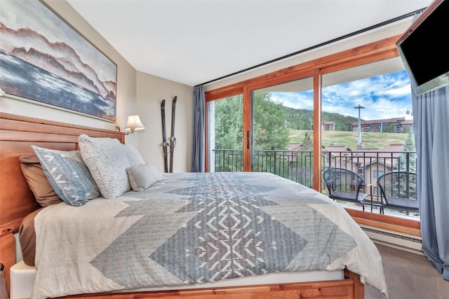 1995 Storm Meadows Dr Unit 307, Steamboat Springs, CO 80487 - bedroom featuring access to outside, carpet floors, and a baseboard radiator