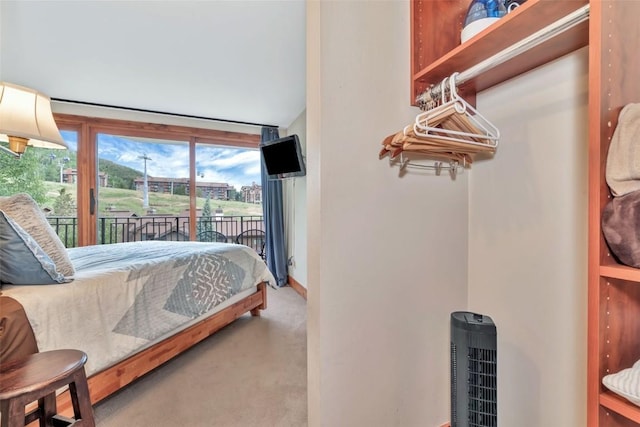 1995 Storm Meadows Dr Unit 307, Steamboat Springs, CO 80487 - bedroom featuring access to outside and carpet floors