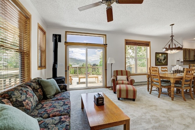 307 Saddle Ridge Dr Unit 307, Wildernest, CO 80498 - living area featuring a wood stove, light carpet, ceiling fan, a textured ceiling, and baseboard heating