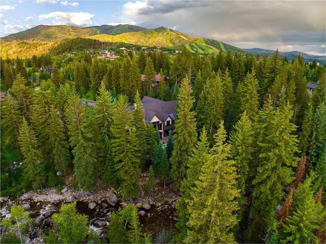 1058 Graystone Ct, Steamboat Springs, CO 80487 - photo 30