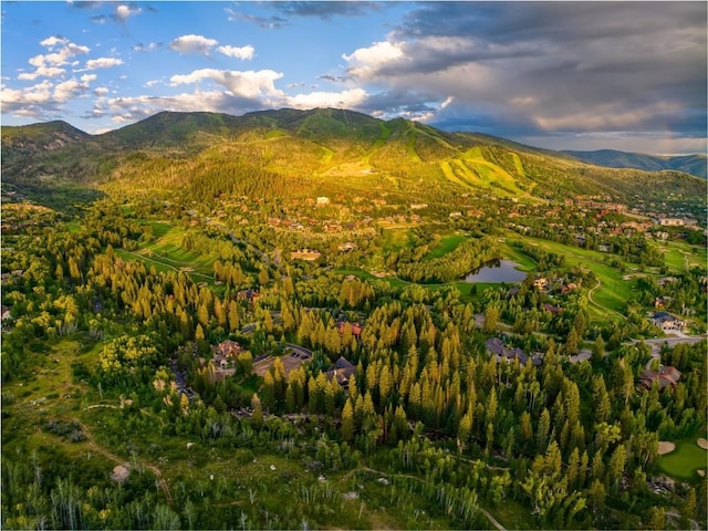 1058 Graystone Ct, Steamboat Springs, CO 80487 - photo 31