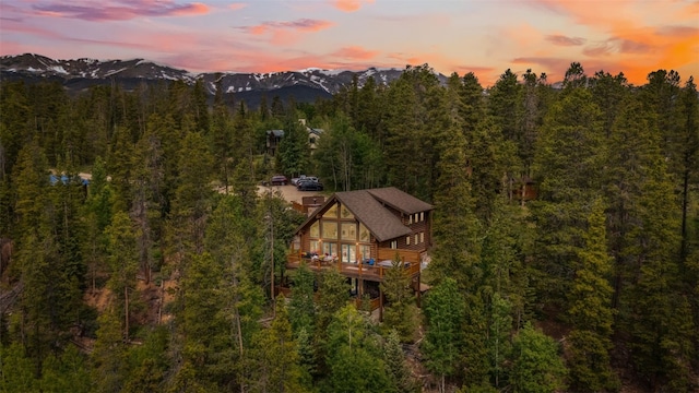 62 Glory Hole Dr, Breckenridge, CO 80424 - photo 1