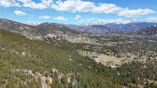 1440 Hummingbird Dr, Estes Park, CO 80517 - photo 27