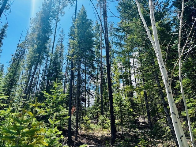 50 Colt Trl, Oak Creek, CO 80467