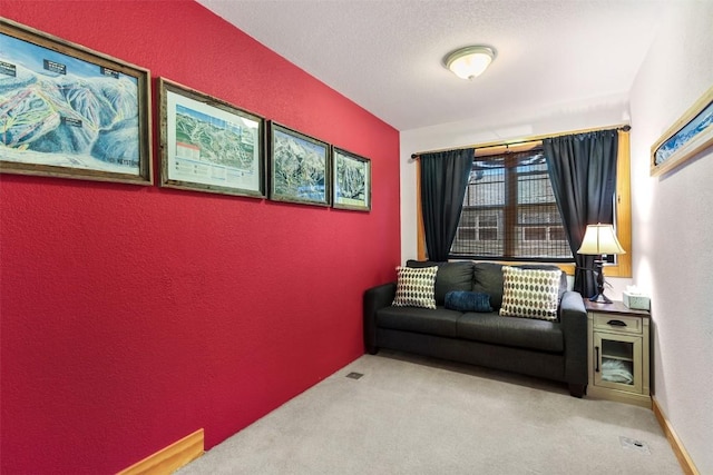 sitting room with a textured wall and carpet