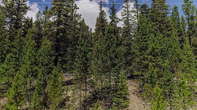 503 Golden Hills Rd, Alma, CO 80420 - photo 8