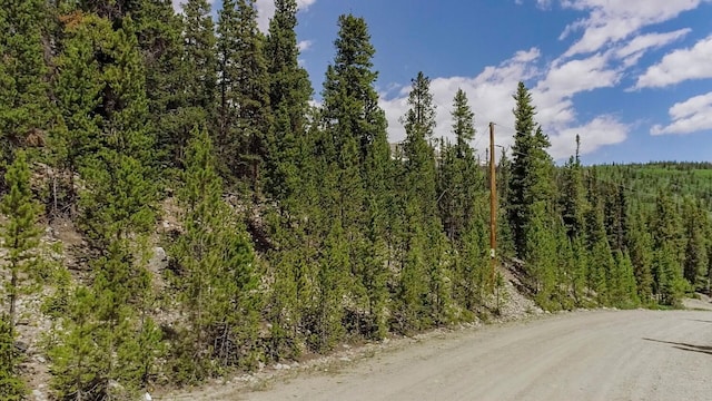 503 Golden Hills Rd, Alma, CO 80420 - photo 7