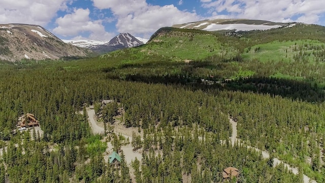 503 Golden Hills Rd, Alma, CO 80420 - photo 15
