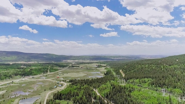 503 Golden Hills Rd, Alma, CO 80420 - photo 4