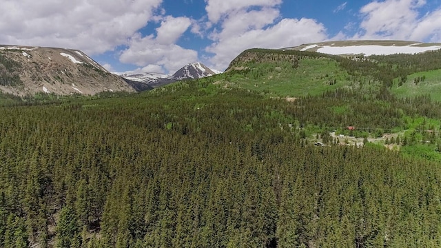 503 Golden Hills Rd, Alma, CO 80420 - photo 18