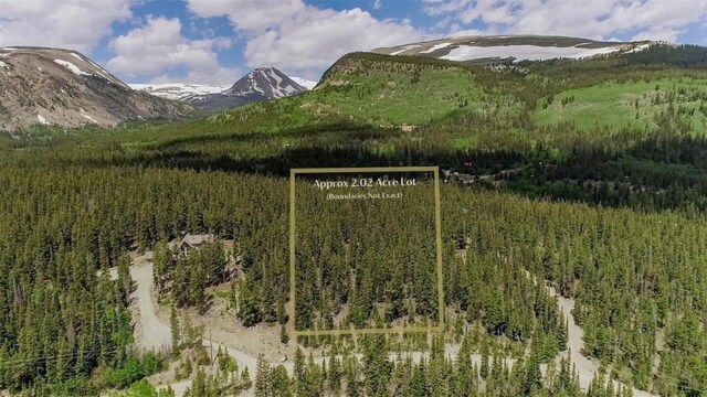 503 Golden Hills Rd, Alma, CO 80420 - photo 3