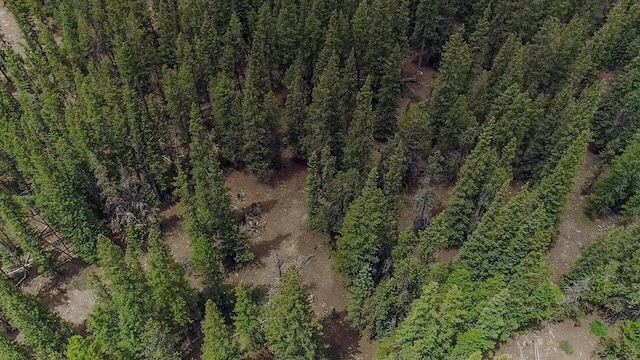 503 Golden Hills Rd, Alma, CO 80420 - photo 30