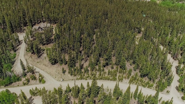 503 Golden Hills Rd, Alma, CO 80420 - photo 21