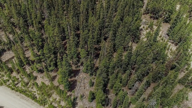 503 Golden Hills Rd, Alma, CO 80420 - photo 29