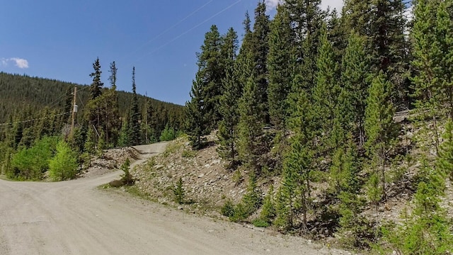503 Golden Hills Rd, Alma, CO 80420 - photo 6