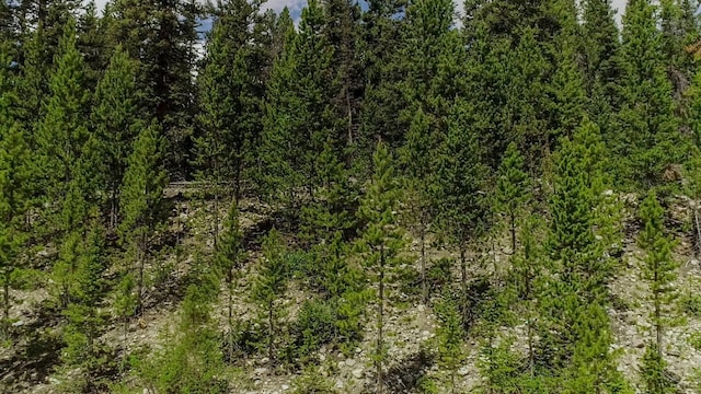 503 Golden Hills Rd, Alma, CO 80420 - photo 5