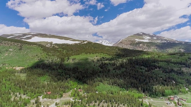 503 Golden Hills Rd, Alma, CO 80420 - photo 35