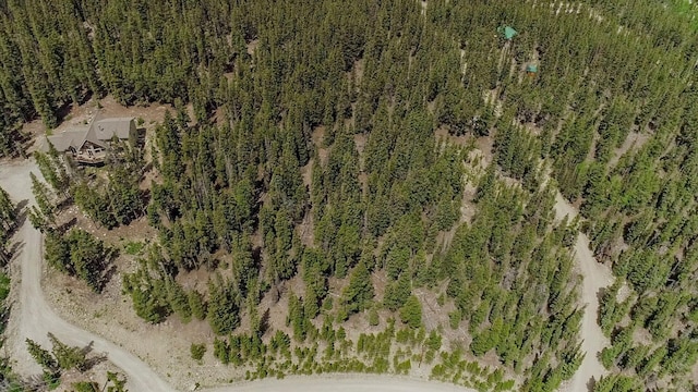 503 Golden Hills Rd, Alma, CO 80420 - photo 23